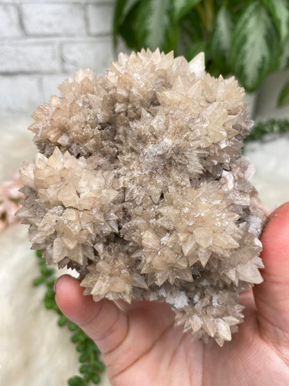 tan-dogtooth-calcite
