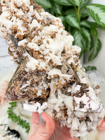 white-albite-brown-mica-mix