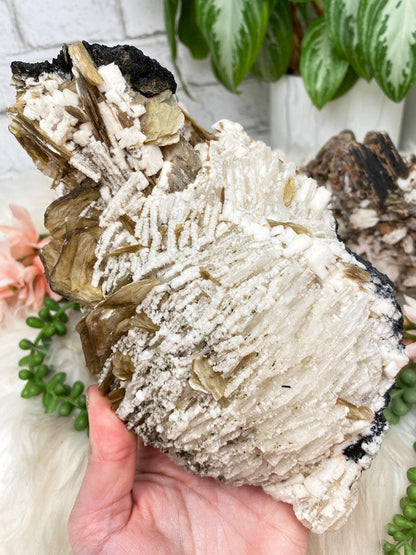 white-albite-yellow-mica-tourmaline