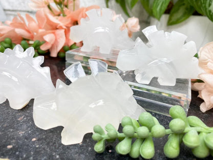 white-onyx-stegosaurus