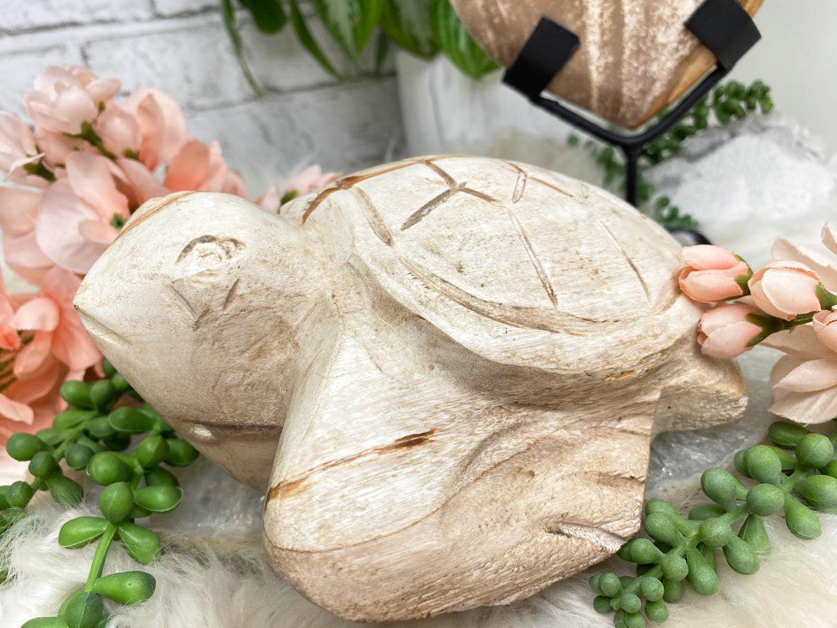 Petrified Wood Turtle & Heart